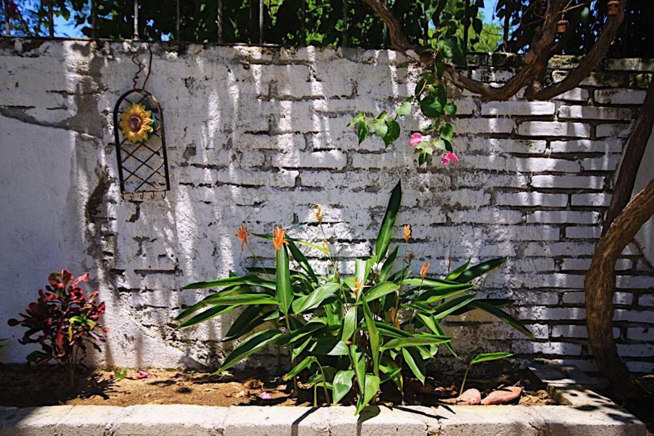 Apartament Casita Piedra Puerto Escondido  Zewnętrze zdjęcie